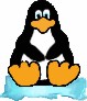 Pinguin68 der 1. *fg*