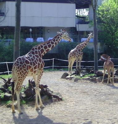 Besuch im Duisburger Zoo